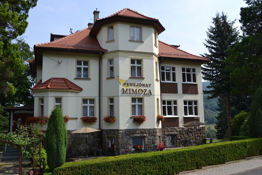 Pensjonat Mimoza Świeradów-Zdrój Zewnętrze zdjęcie