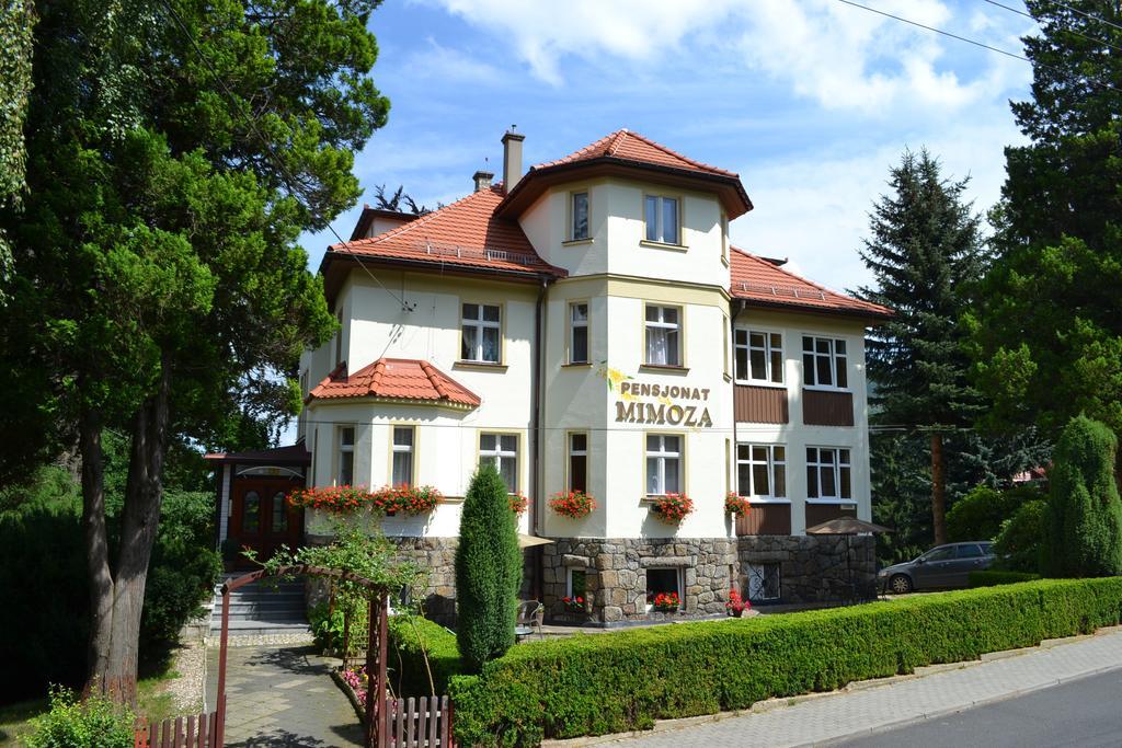 Pensjonat Mimoza Świeradów-Zdrój Zewnętrze zdjęcie